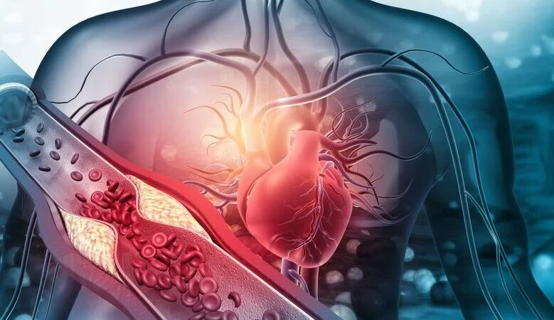 3 tipos de colesterol, suas funções e como prevenir doenças cardiovasculares!
