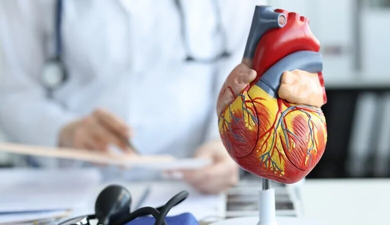 Doenças cardiovasculares e saúde mental estão ligadas: veja como se prevenir!
