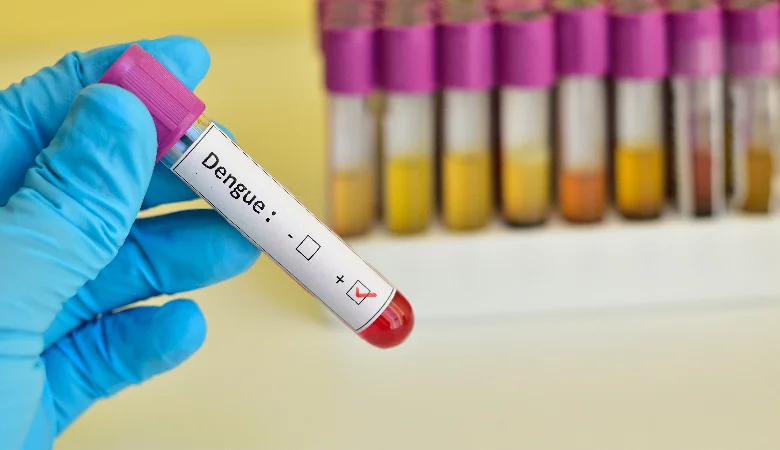 Dengue: sintomas, diagnóstico e tratamentos