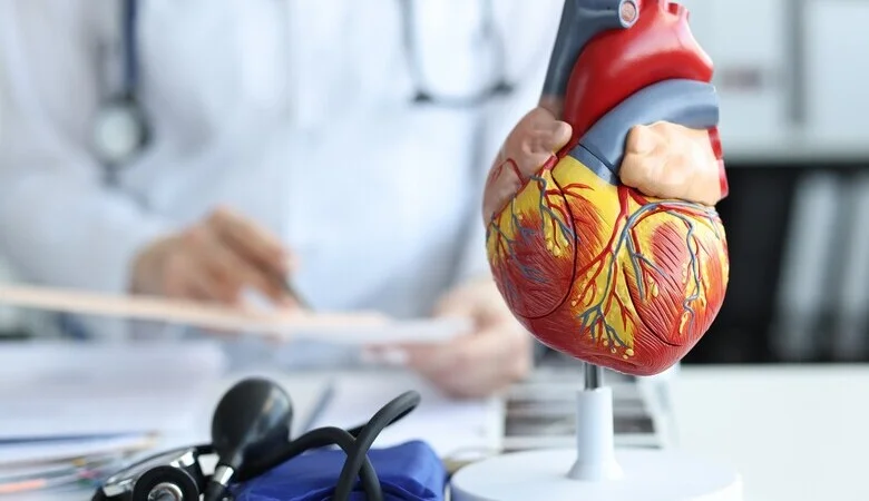 Coração grande: quais são as causas e como tratar?