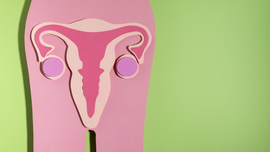 ilustração do sistema reprodutor feminino sobre um fundo verde